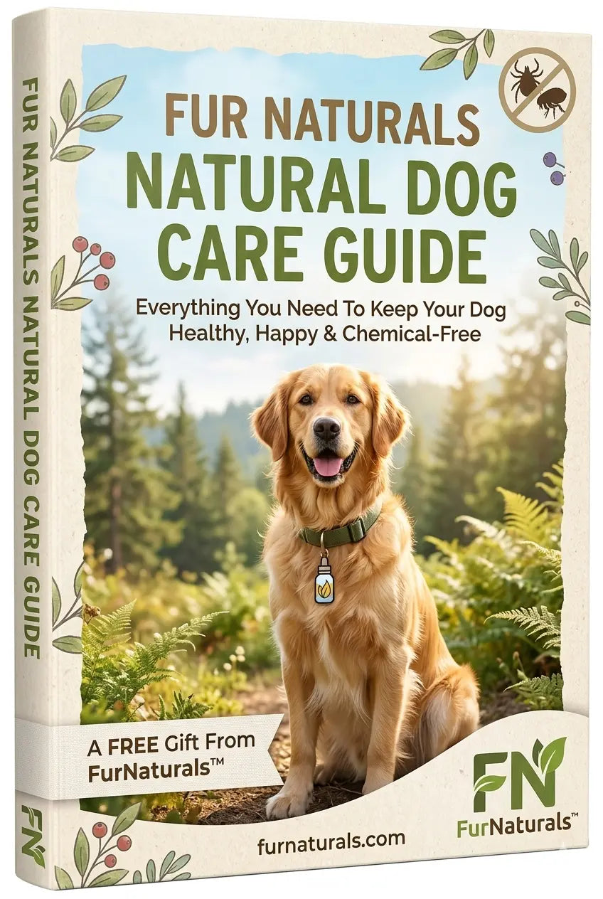 Natural Dog Care eBook — Digital Download