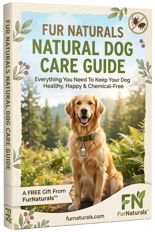Natural Dog Care eBook — Digital Download
