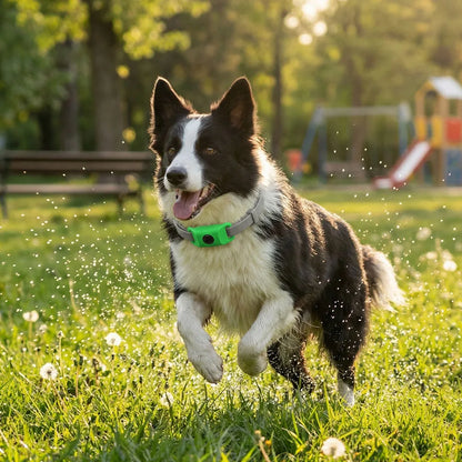 FurNaturals™ — All Natural Flea & Tick Pendant for Dogs (12 Month Protection)